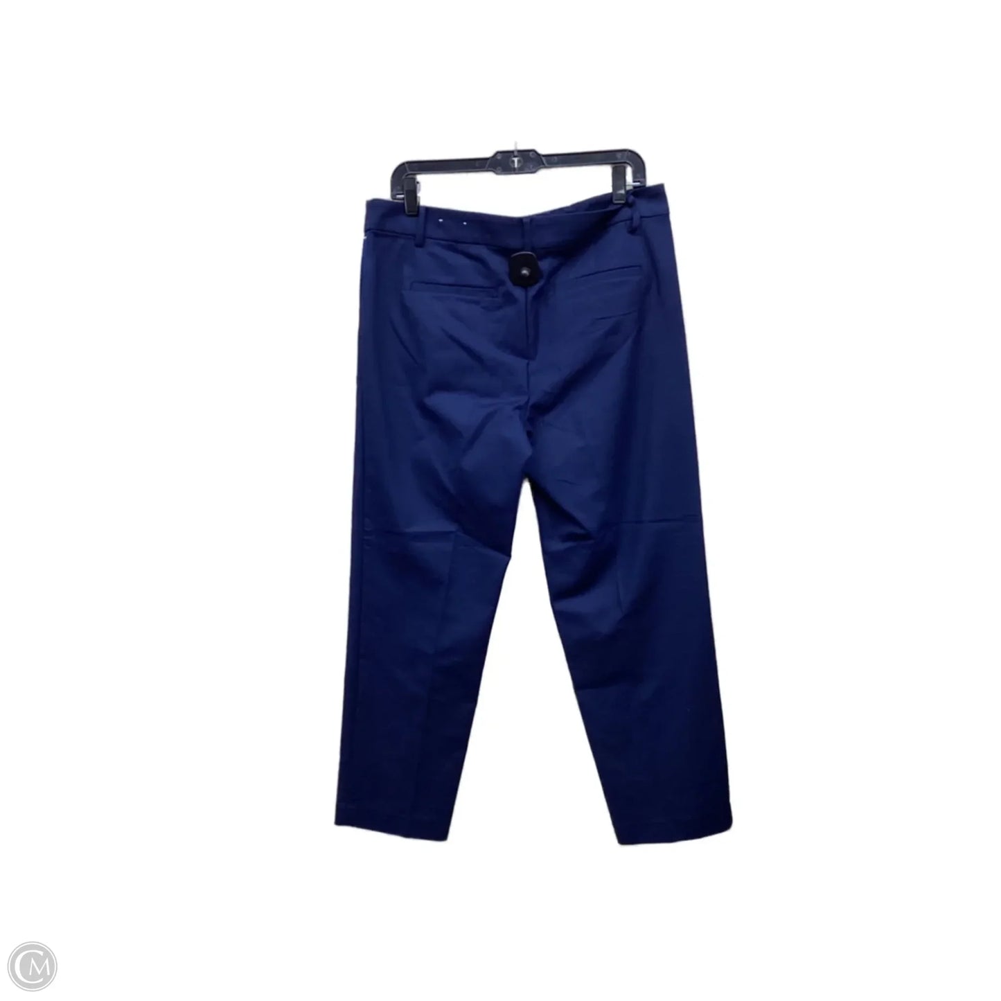 Pants Other By Loft In Blue, Size: 10