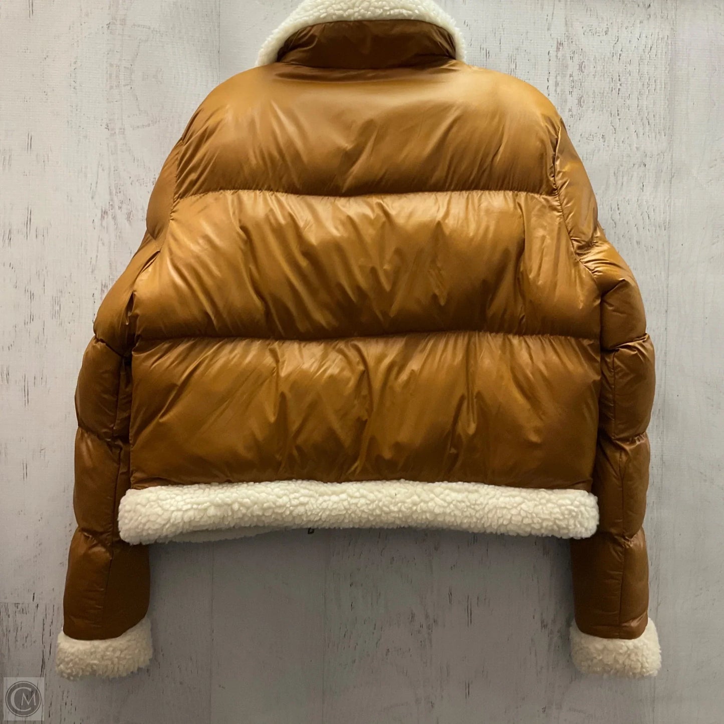 Jacket Moto By Clothes Mentor In Brown, Size: M