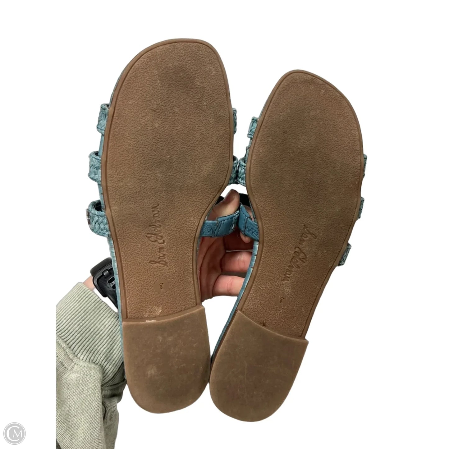 Sandals Flats By Sam Edelman In Blue & Brown, Size: 8