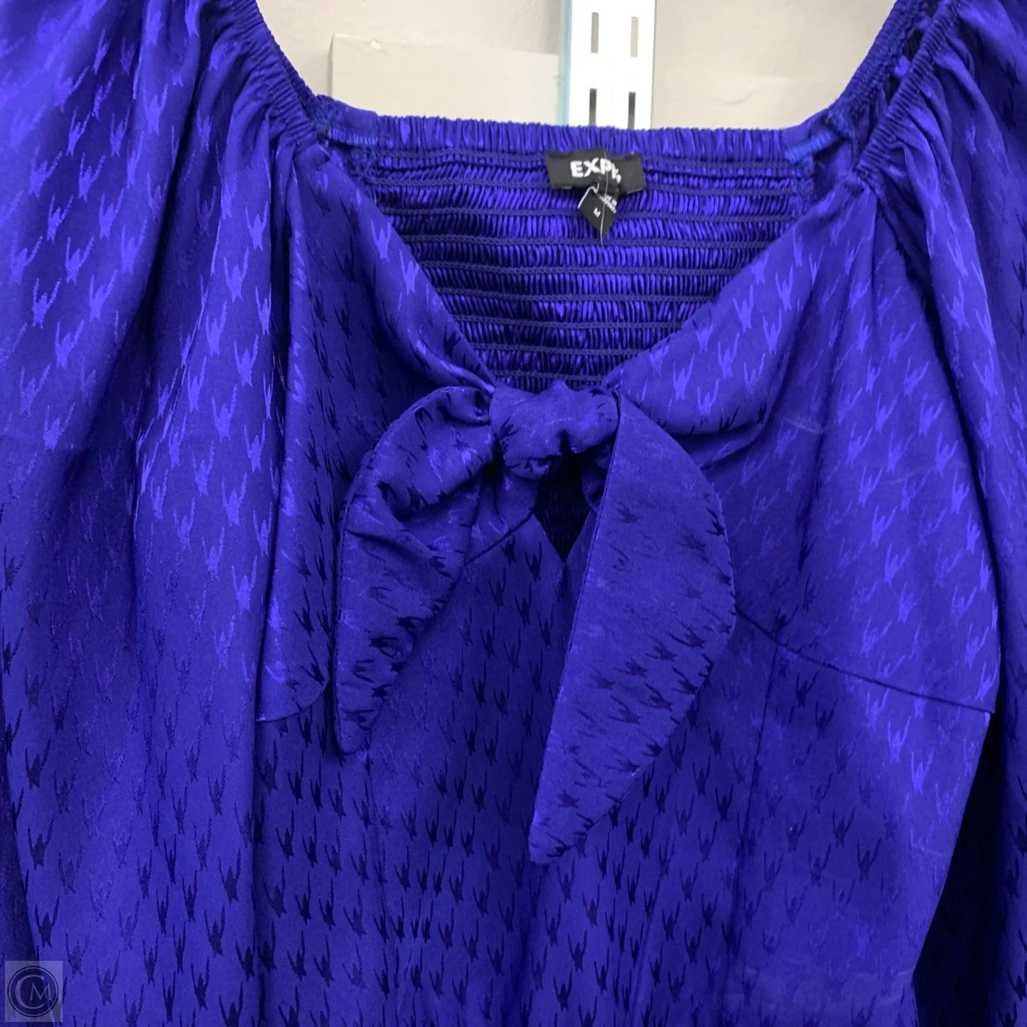 Bodysuit By Express In Blue, Size: M