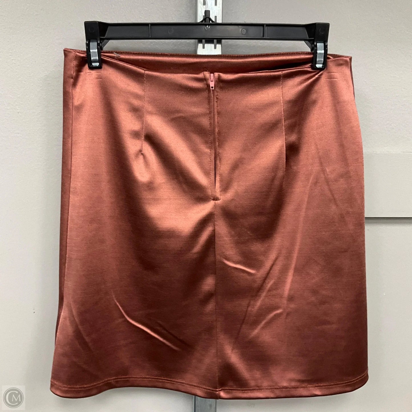 Skirt Mini & Short By Originality In Rose Gold, Size: M