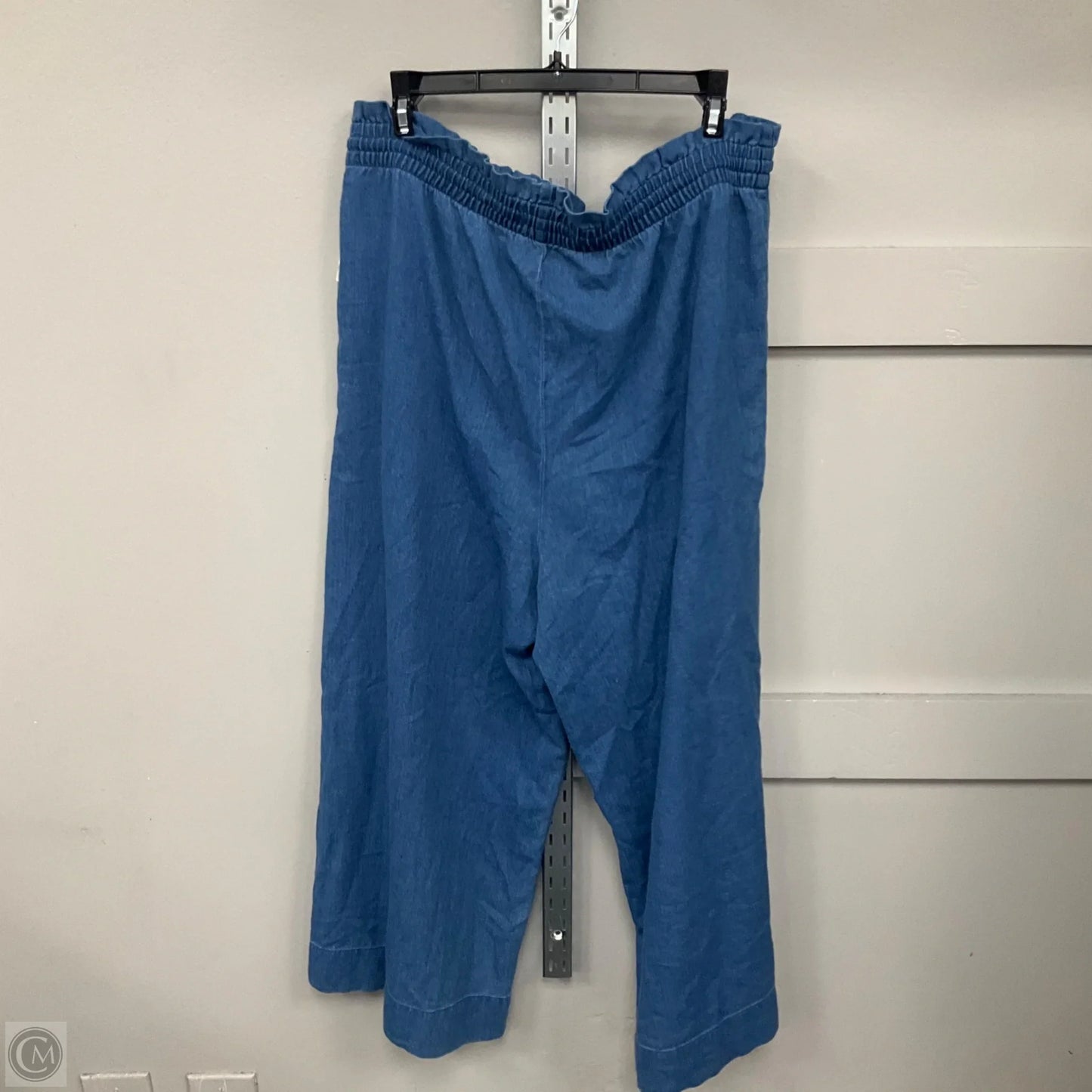Pants Other By Madewell In Blue, Size: Xl