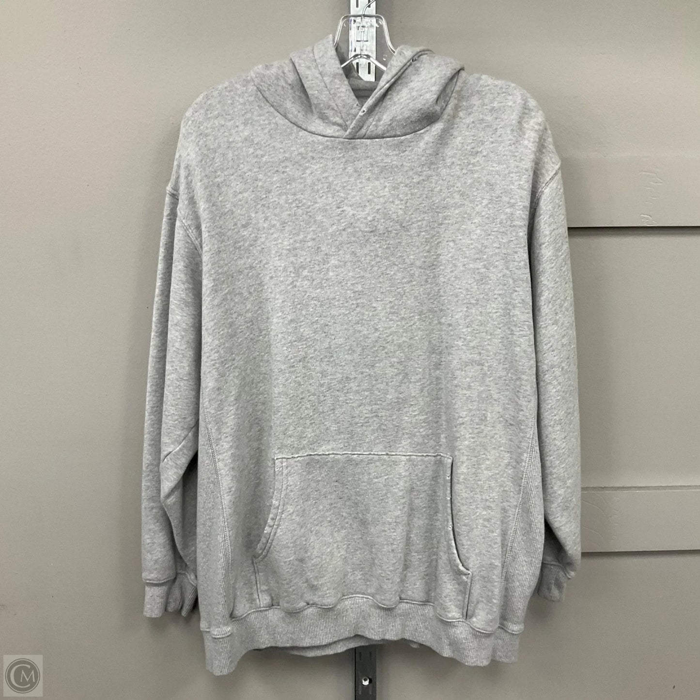 Sweatshirt Hoodie By Aerie In Grey, Size: M