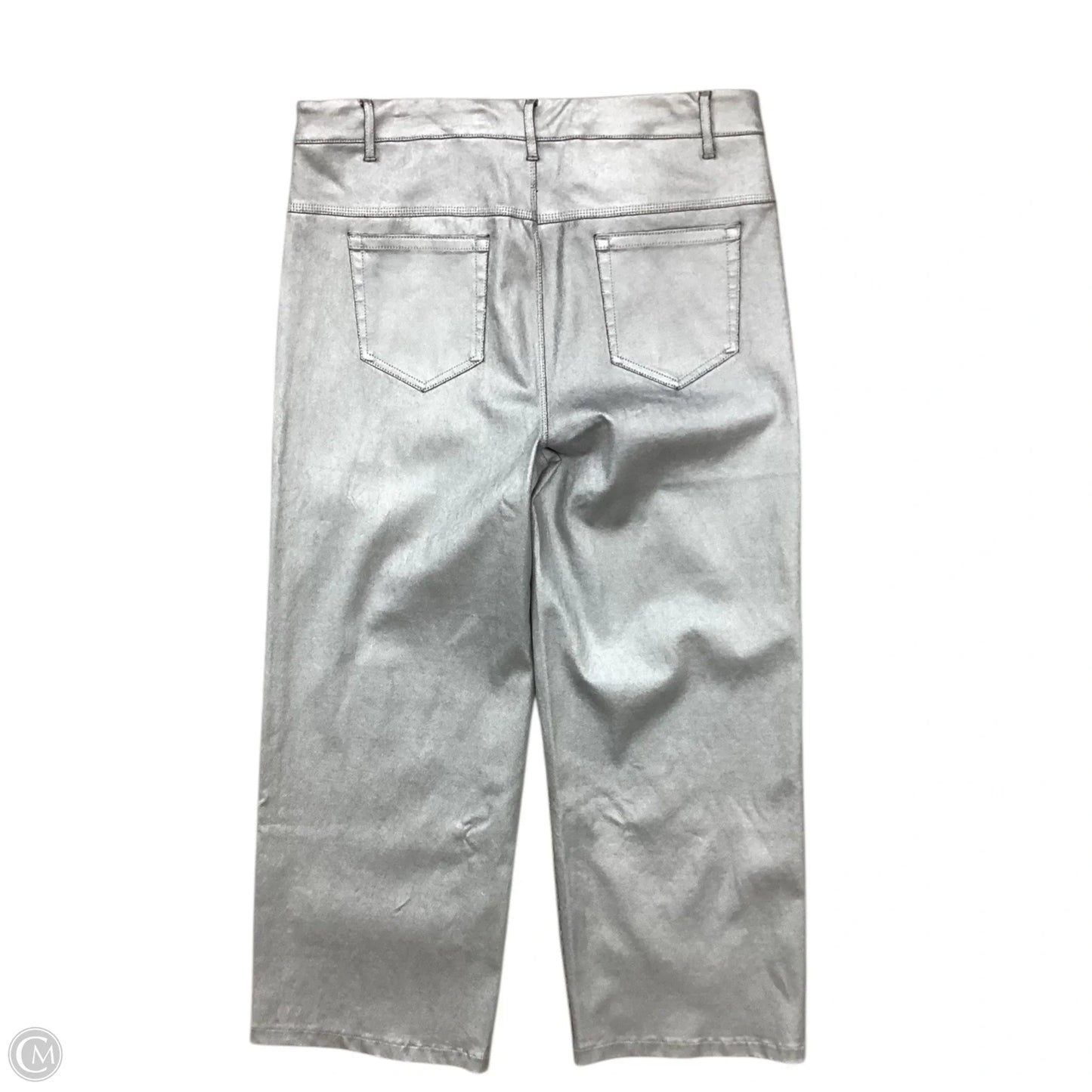 Pants Wide Leg By Lysse In Silver, Size: 14