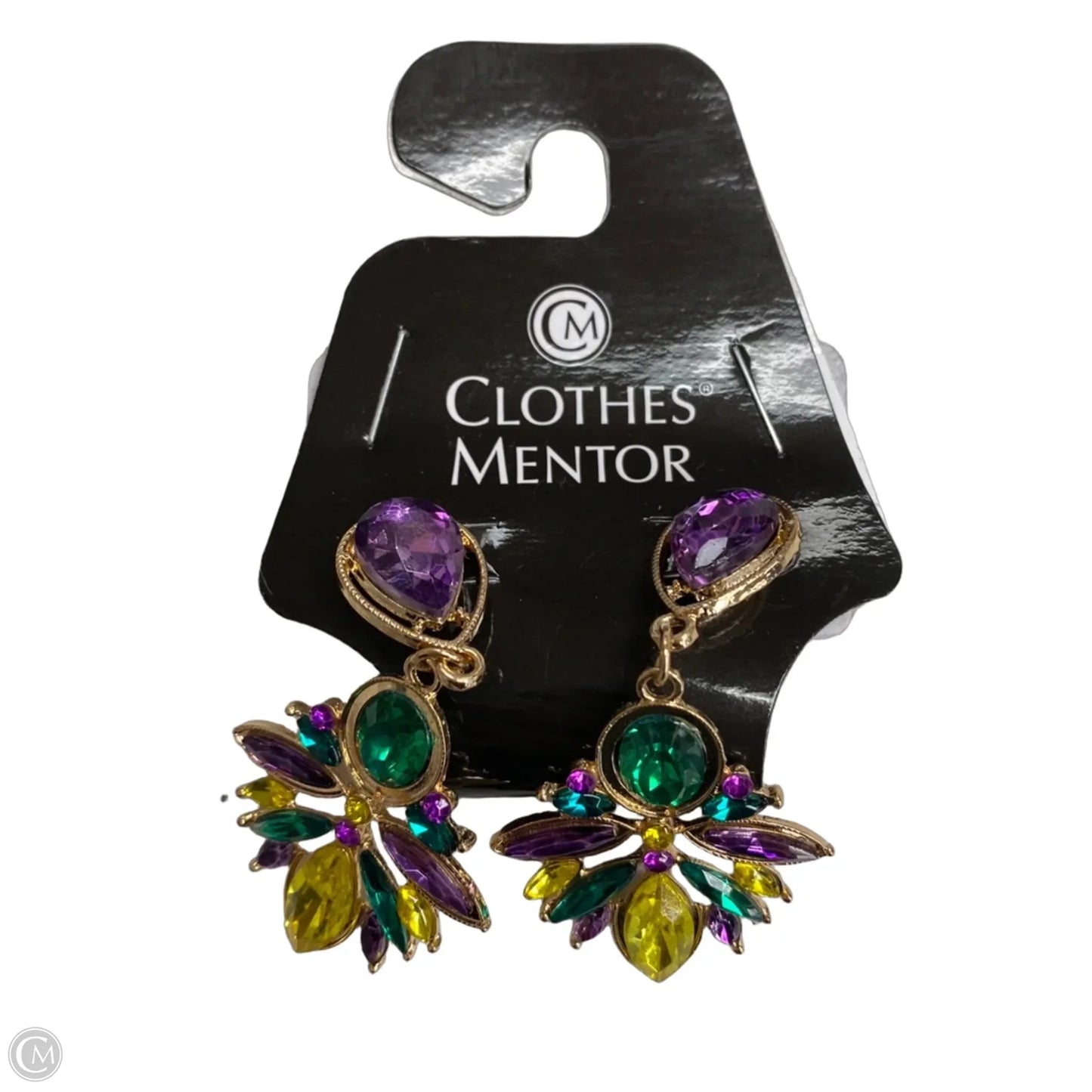 Earrings Hoop By Clothes Mentor