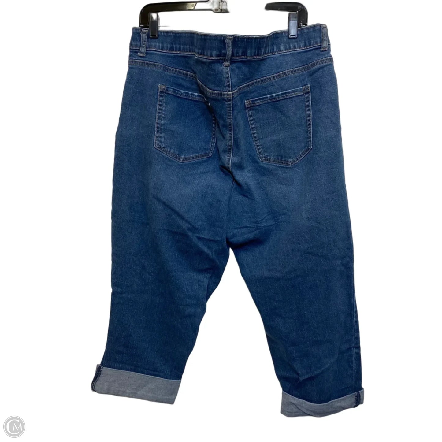 Jeans Boyfriend By Terra & Sky In Blue Denim, Size: 18