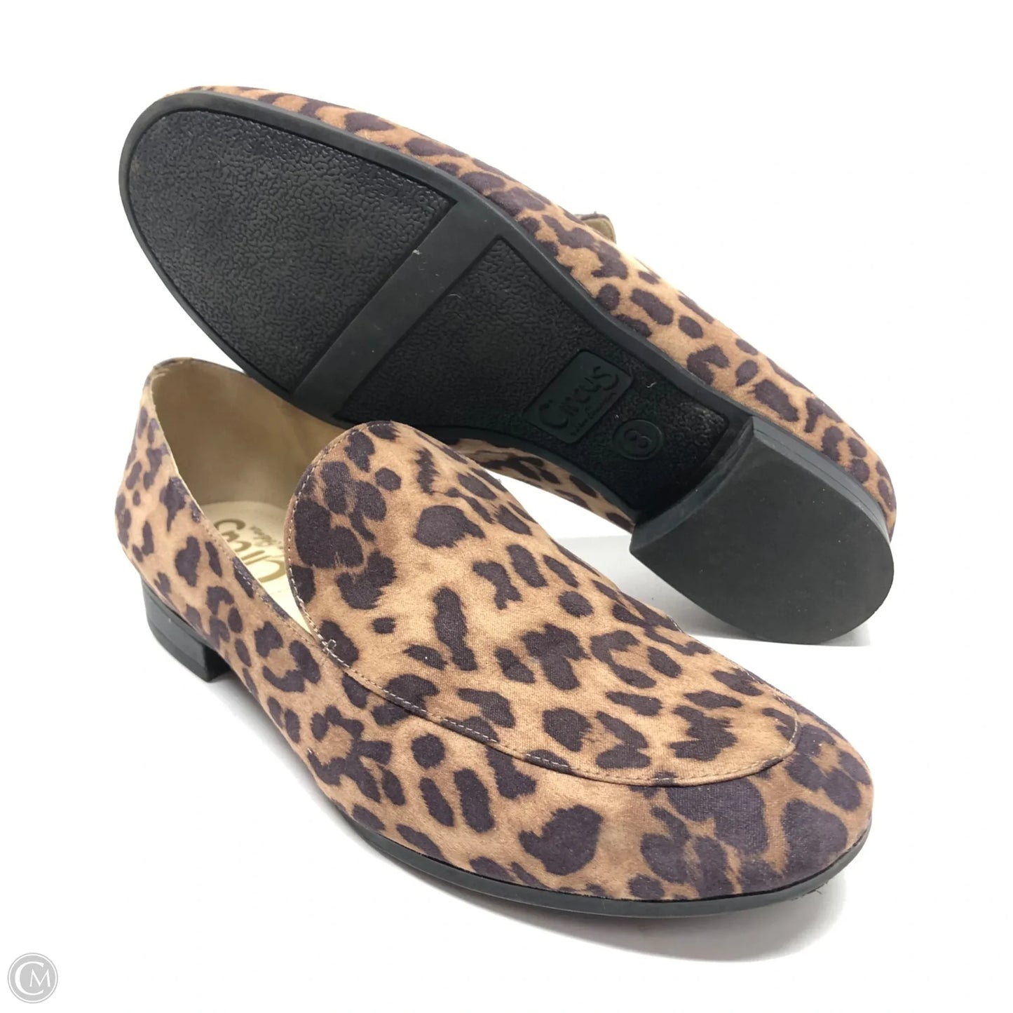Shoes Flats By Circus By Sam Edelman In Animal Print, Size: 8