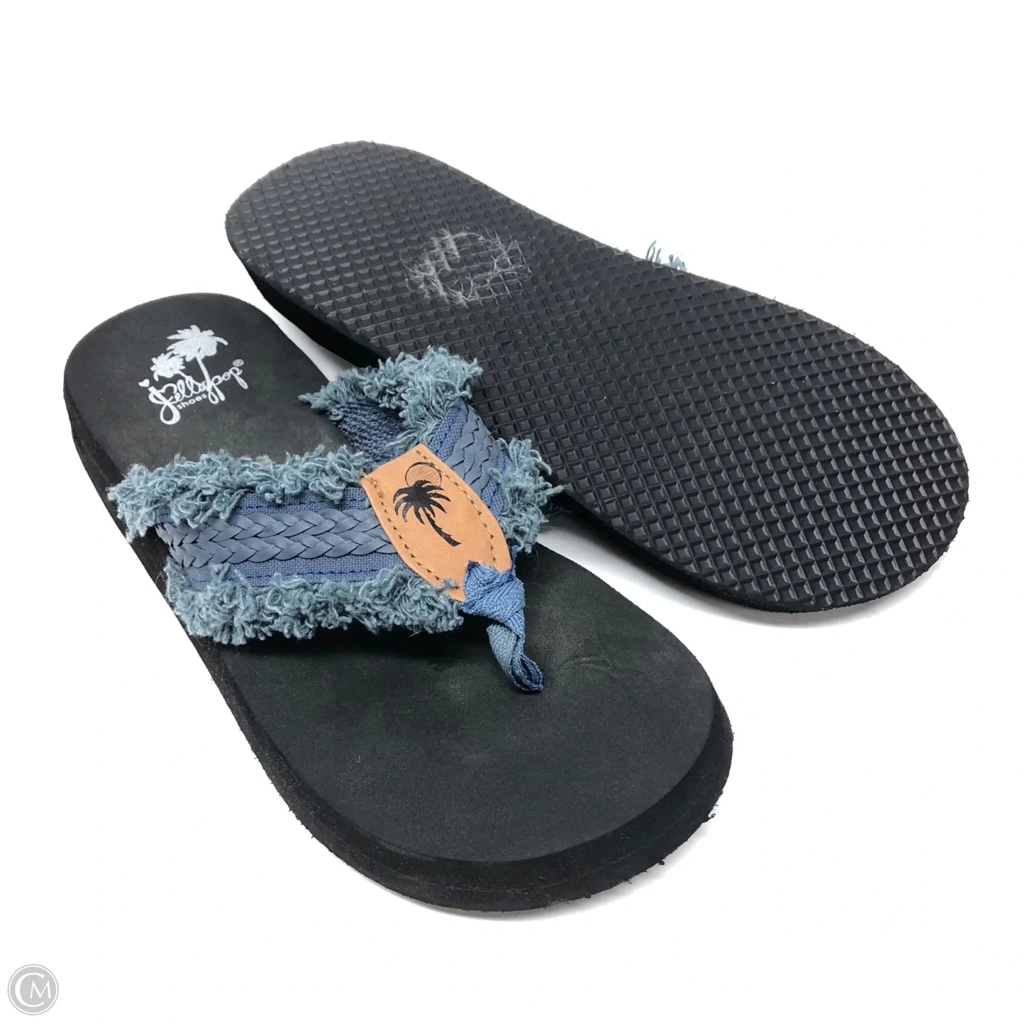 Sandals Flip Flops By Jelly Pop In Blue, Size: 7