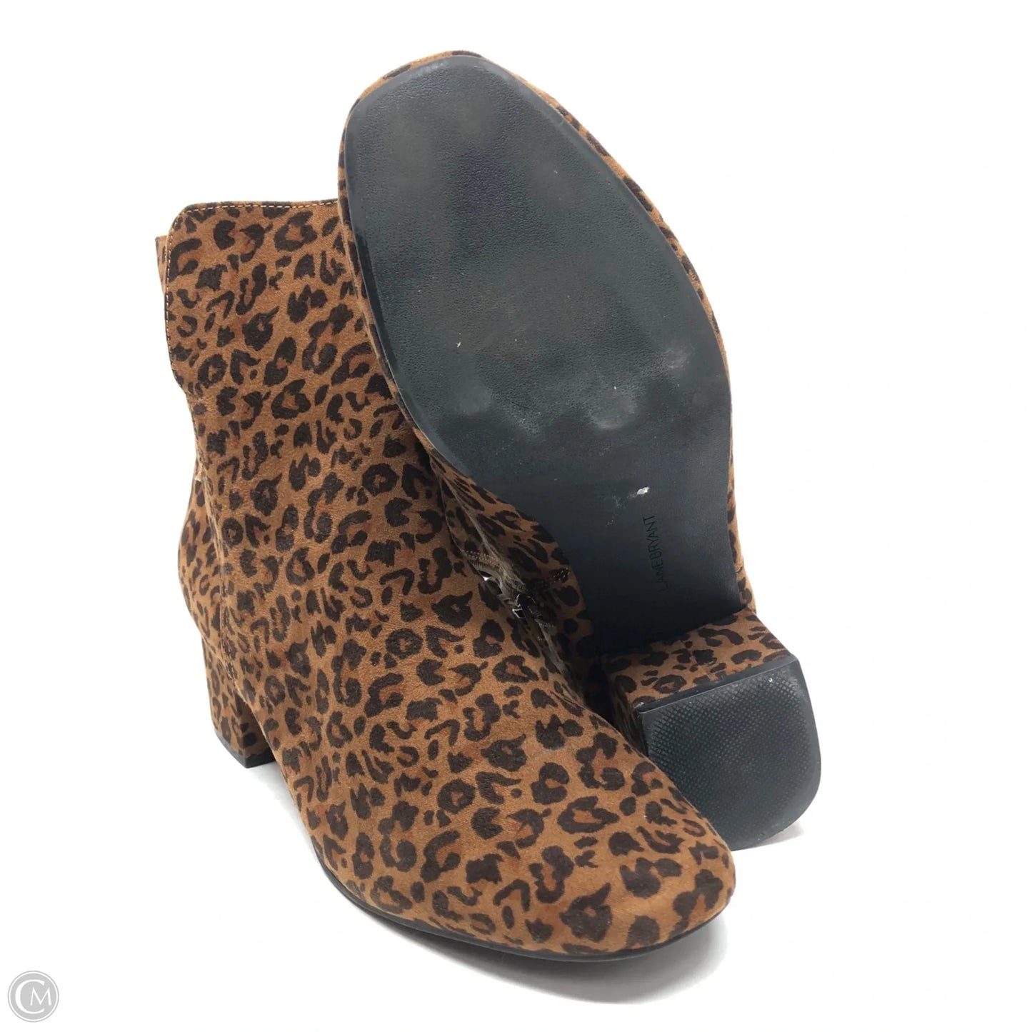 Boots Ankle Heels By Lane Bryant In Animal Print, Size: 10