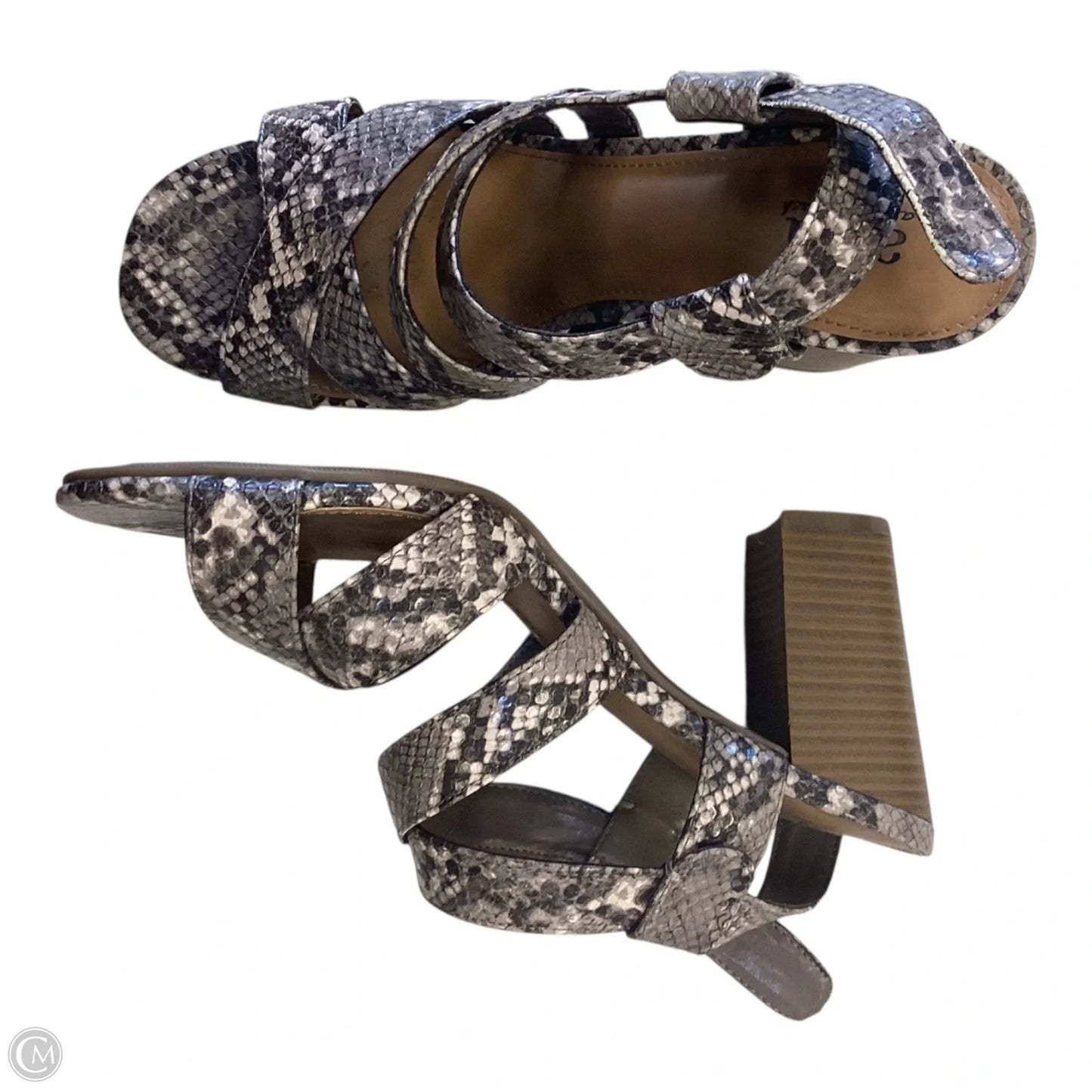 Shoes Heels Block By Ana In Snakeskin Print, Size: 8