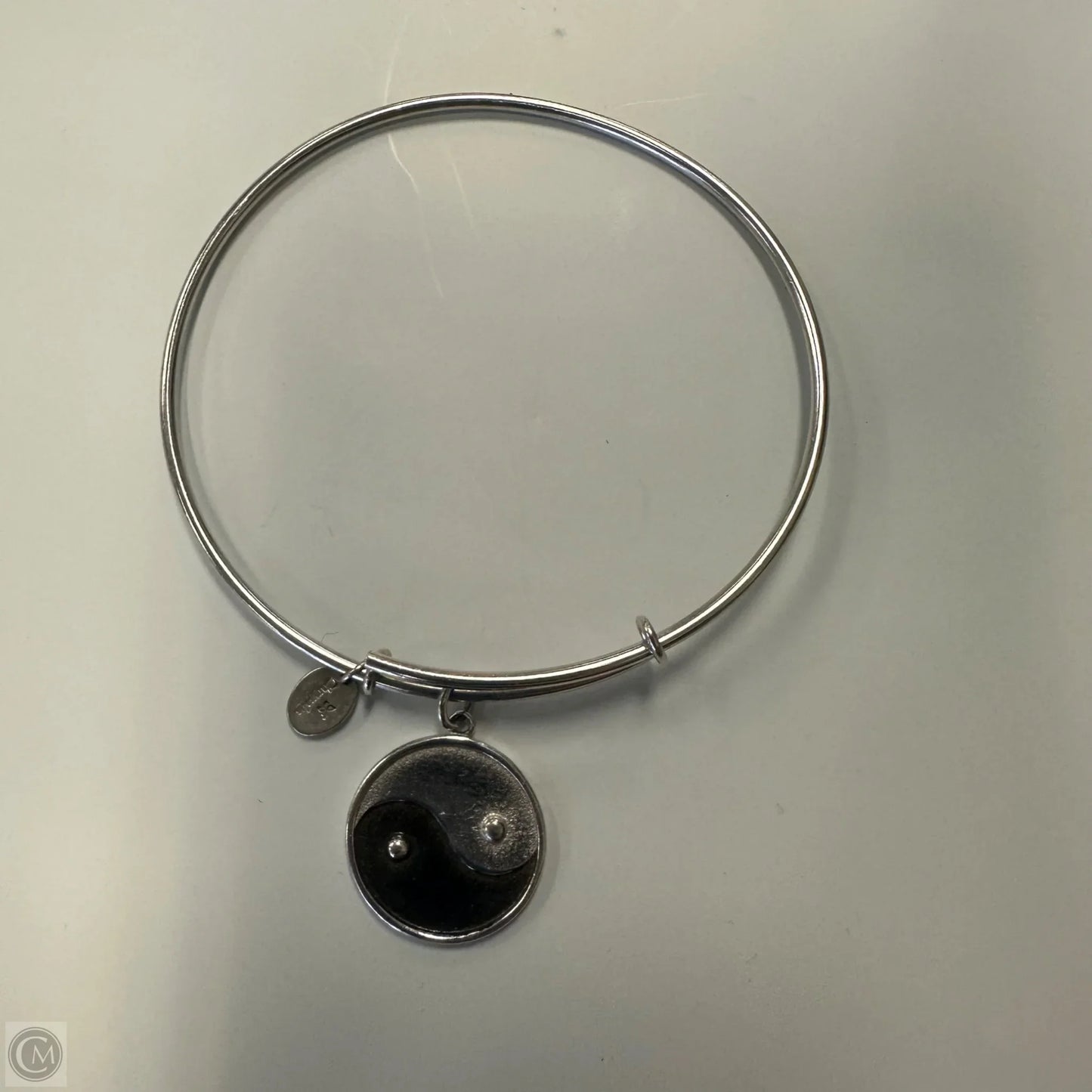 Bracelet Charm By Clothes Mentor