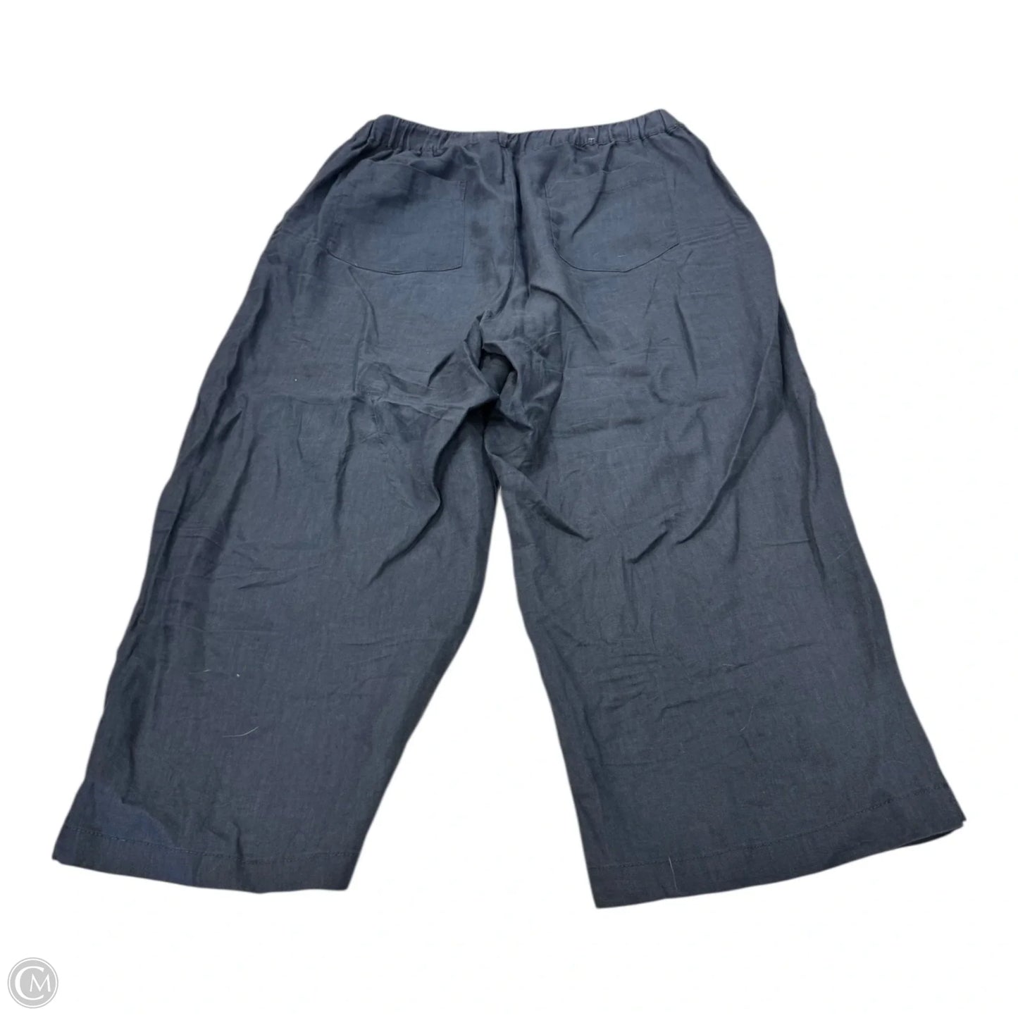 Pants Linen By Cynthia Rowley In Navy, Size: Xl