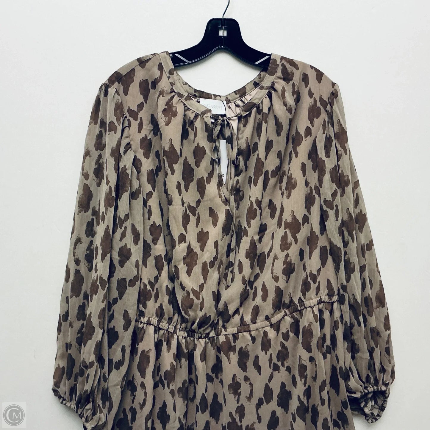 Dress Casual Short By Sugar Lips In Brown, Size: 2x