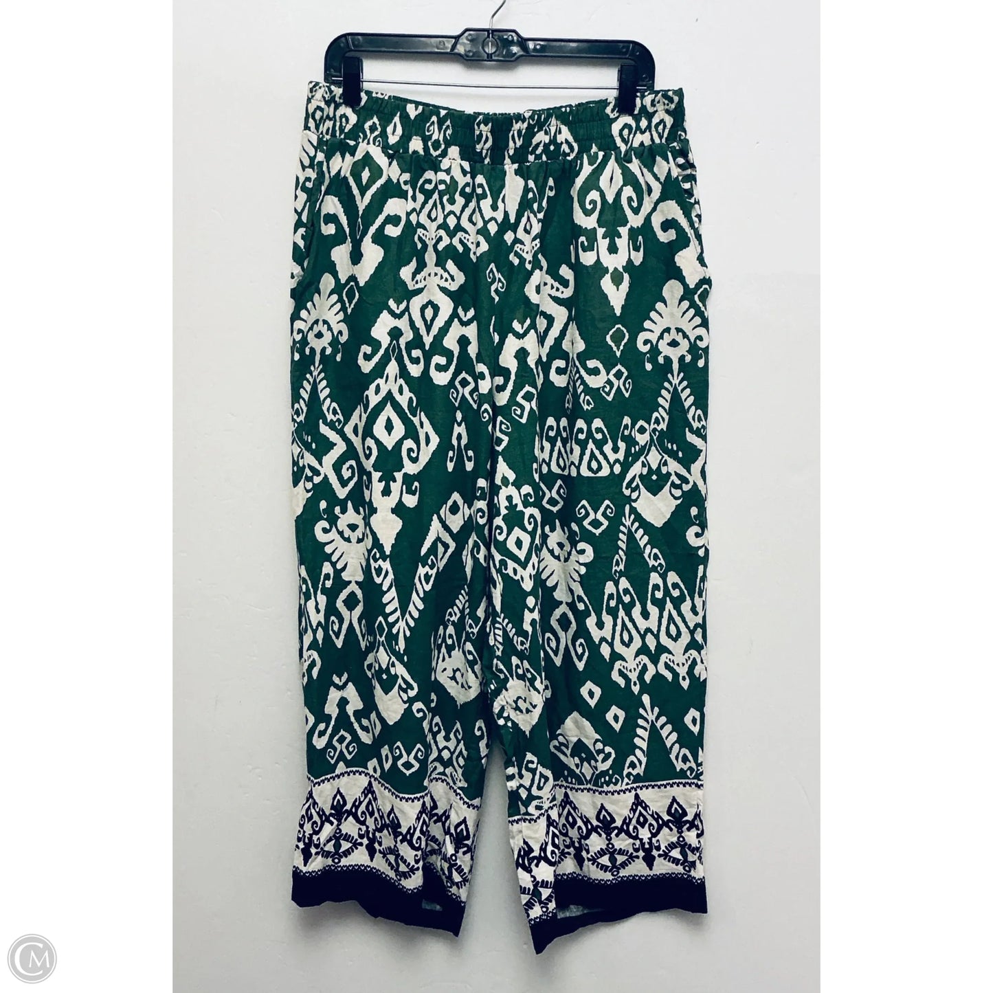 Pants Linen By Haute Hippie In Green, Size: 1x