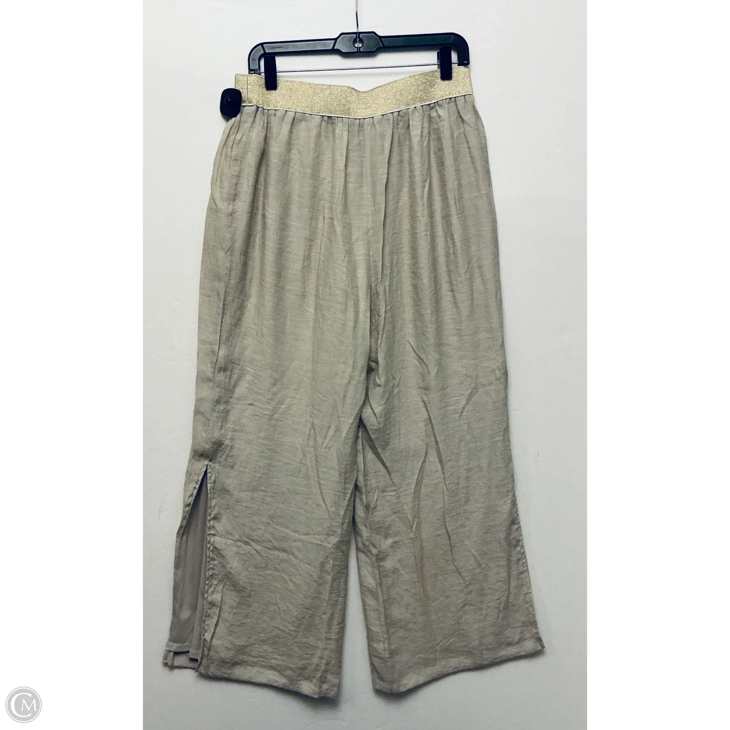 Pants Wide Leg By Thalia Sodi In Tan, Size: L