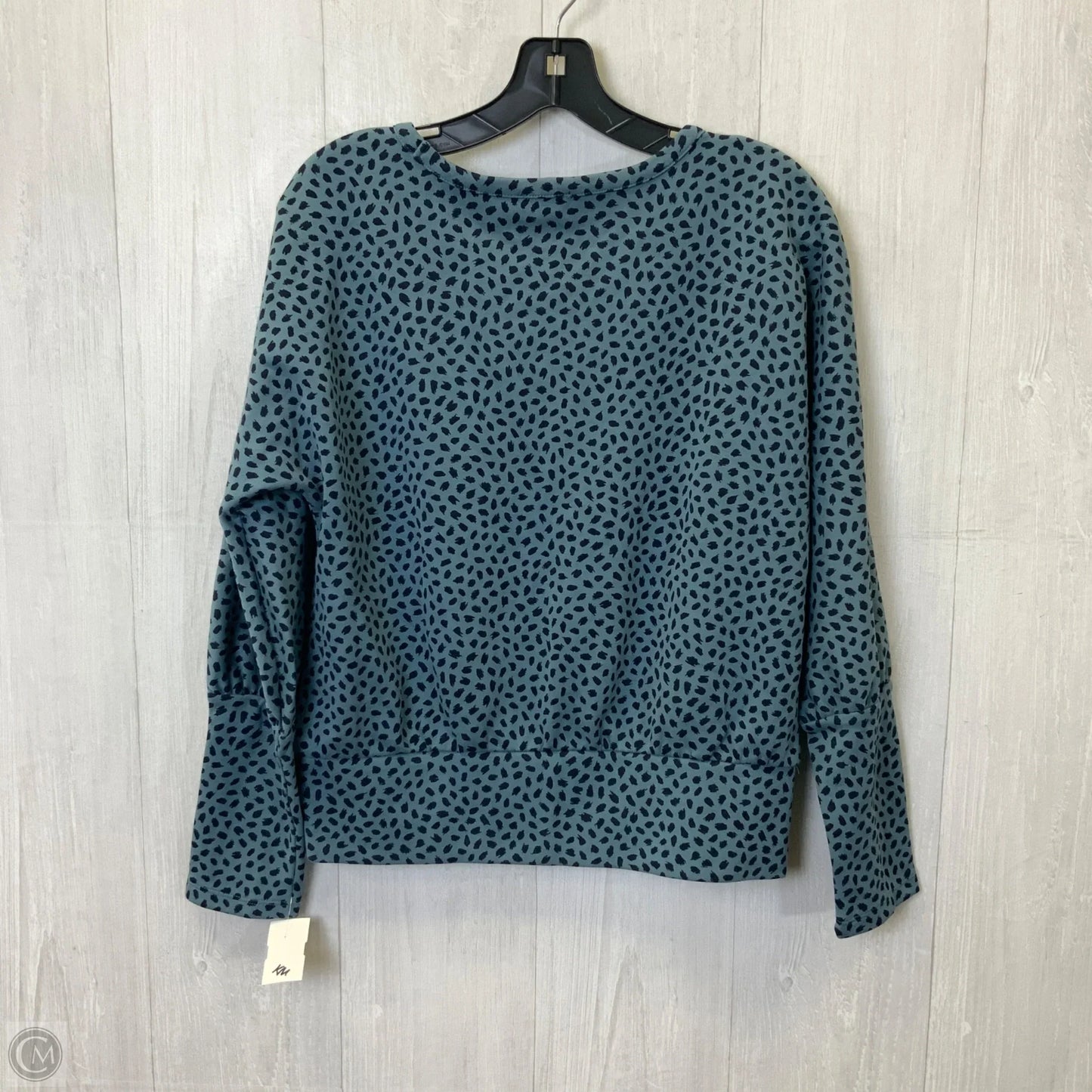 Top Long Sleeve By Ann Taylor In Blue, Size: S