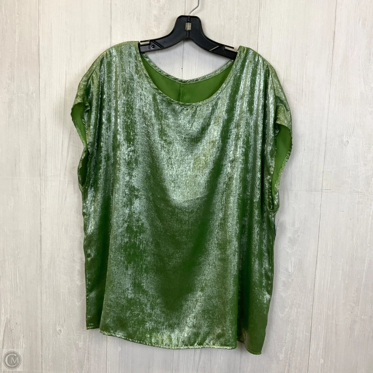 Top Sleeveless By Clothes Mentor In Green & Silver, Size: 1x