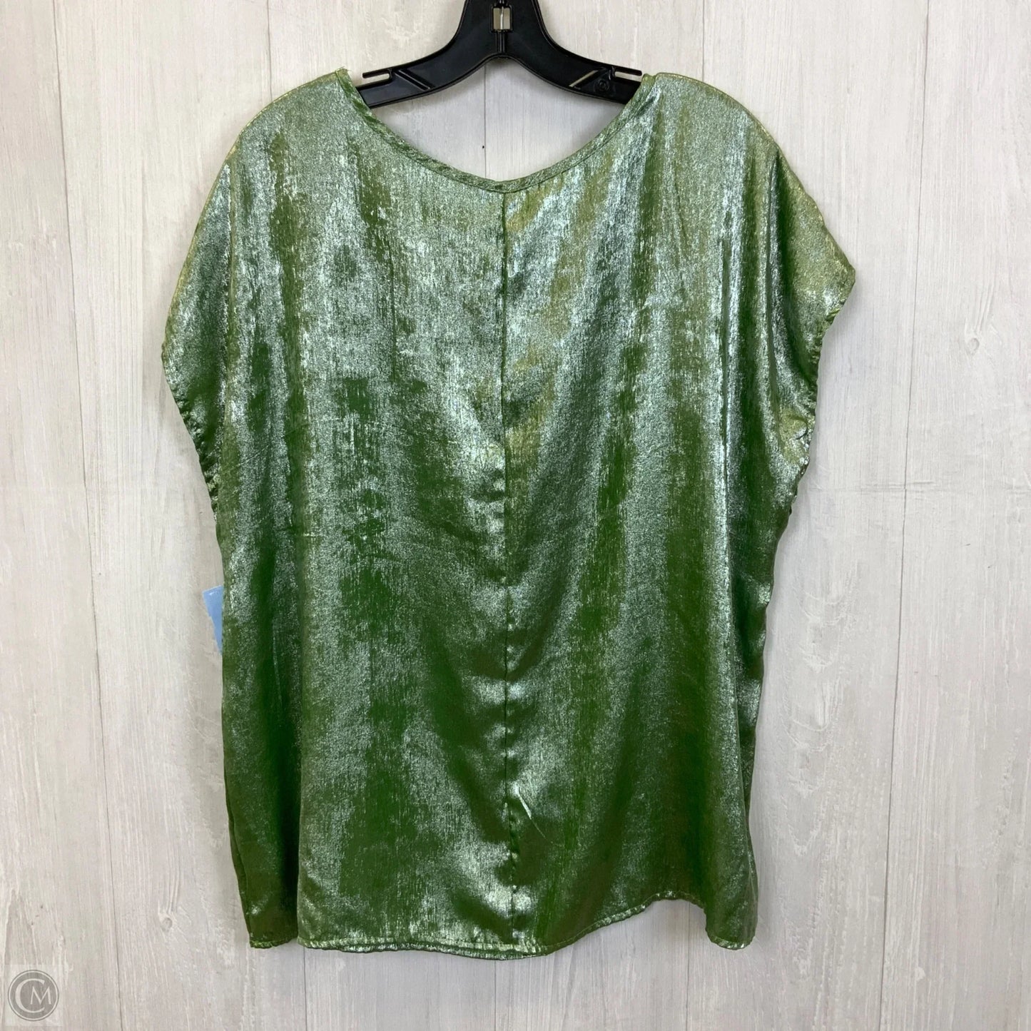 Top Sleeveless By Clothes Mentor In Green & Silver, Size: 1x