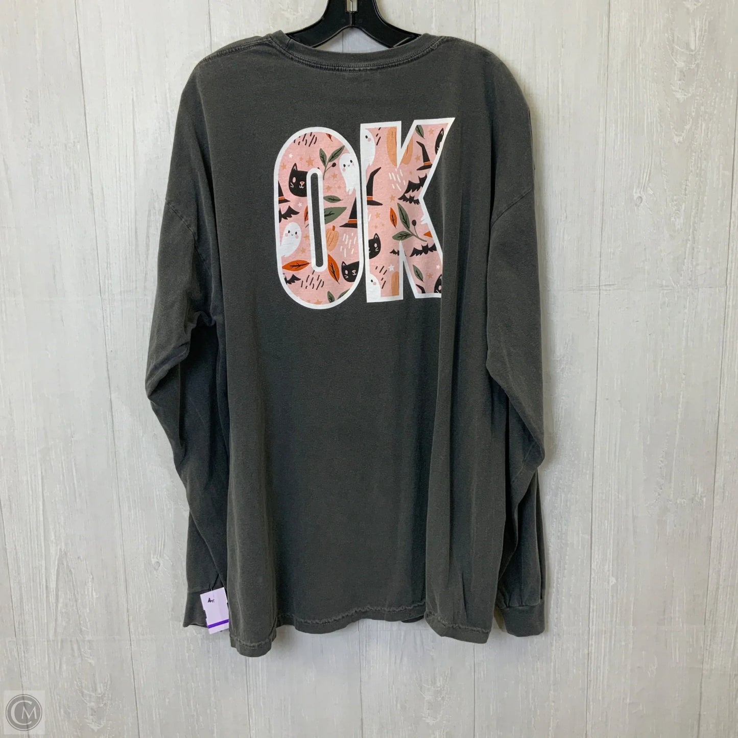Top Long Sleeve By Comfort Colors In Grey, Size: 2x