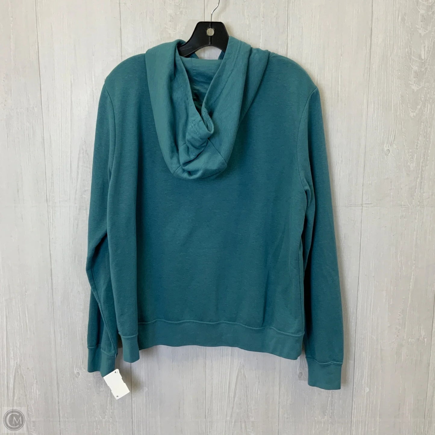 Sweatshirt Hoodie By Nike In Aqua, Size: L