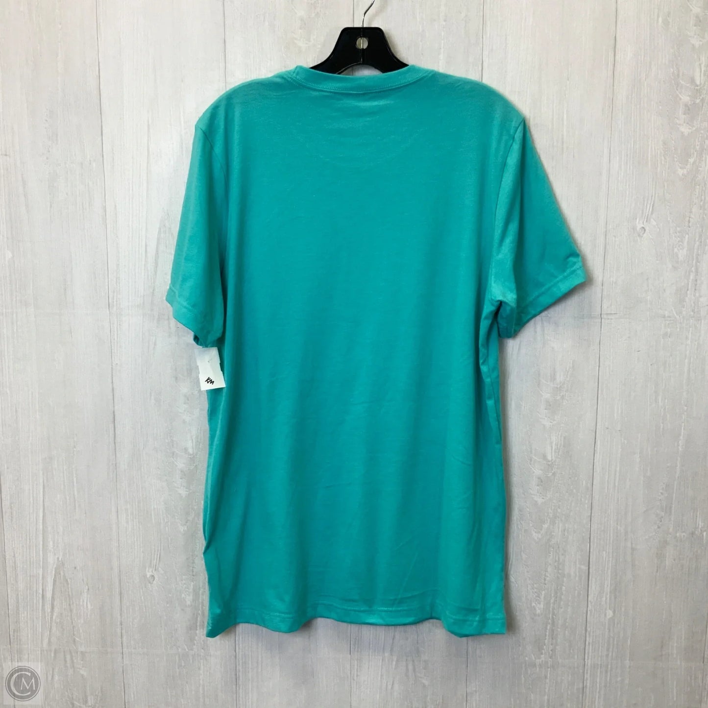 Top Short Sleeve By Bella + Canvas In Teal, Size: L