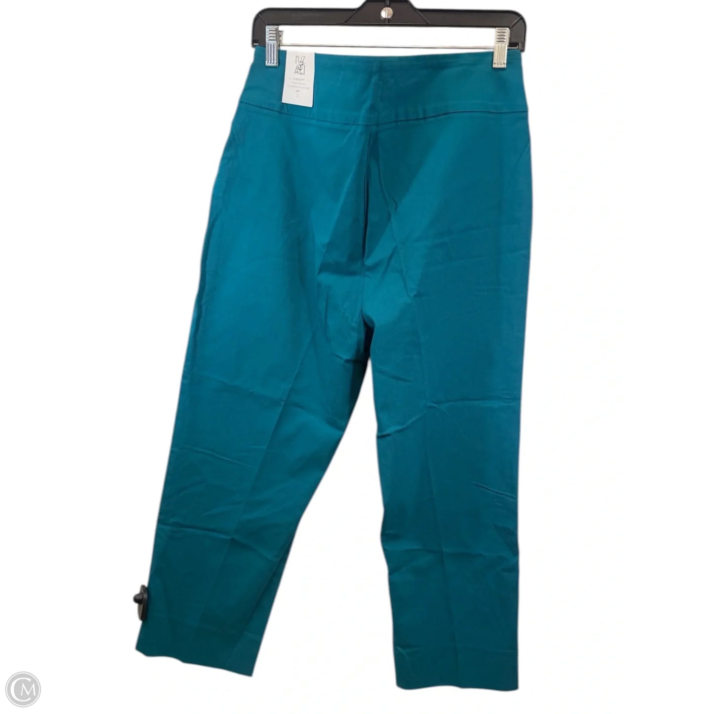 Pants Other By Roz And Ali In Teal, Size: 14