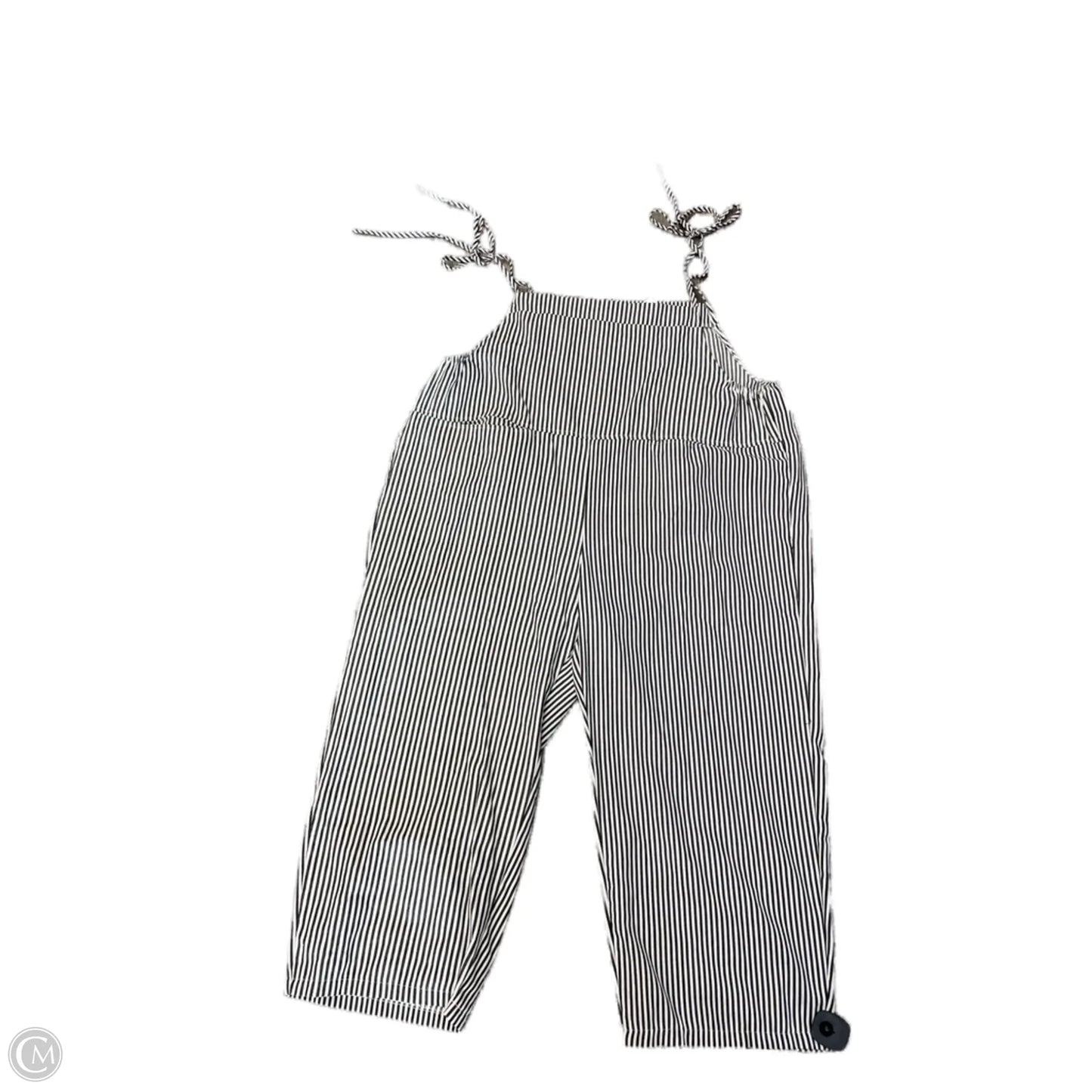 Overalls By Clothes Mentor In Striped Pattern, Size: 4x
