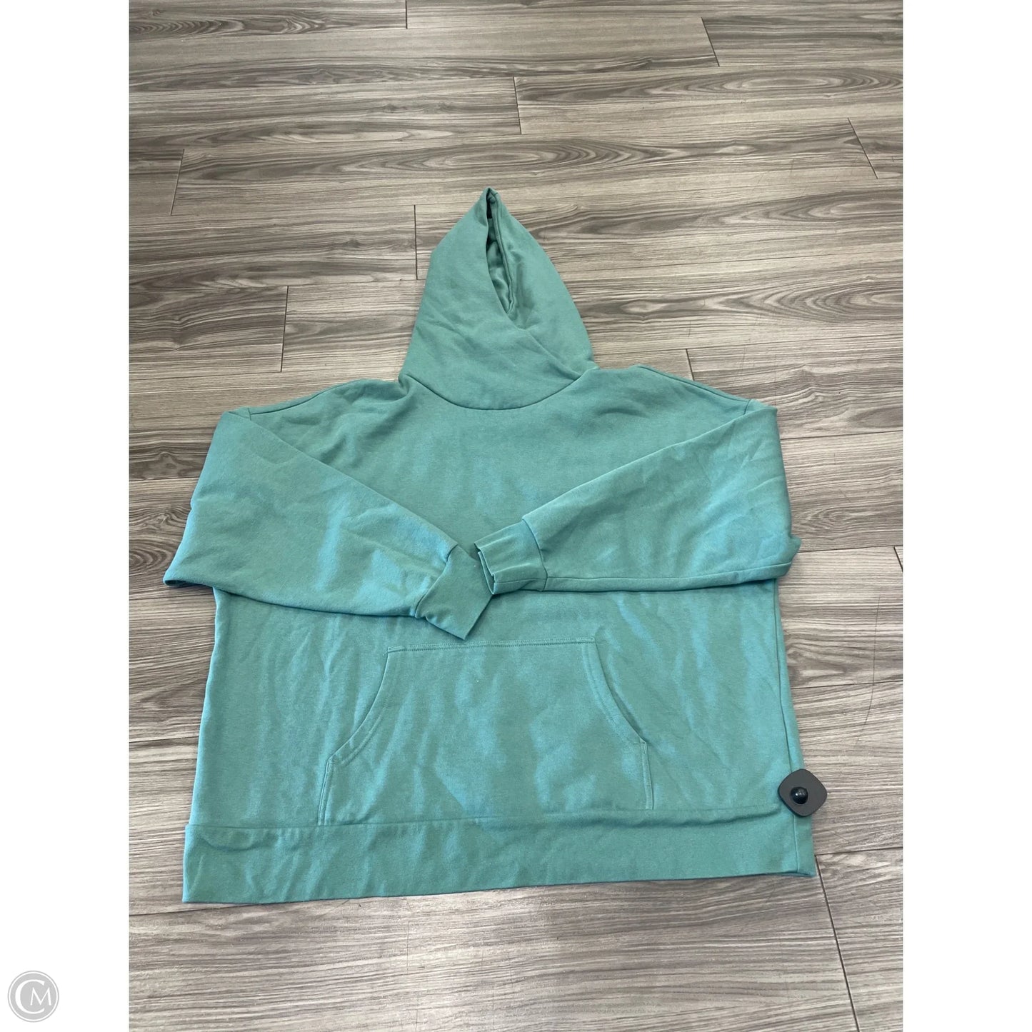 Sweatshirt Hoodie By Dsg Outerwear In Green, Size: 1x