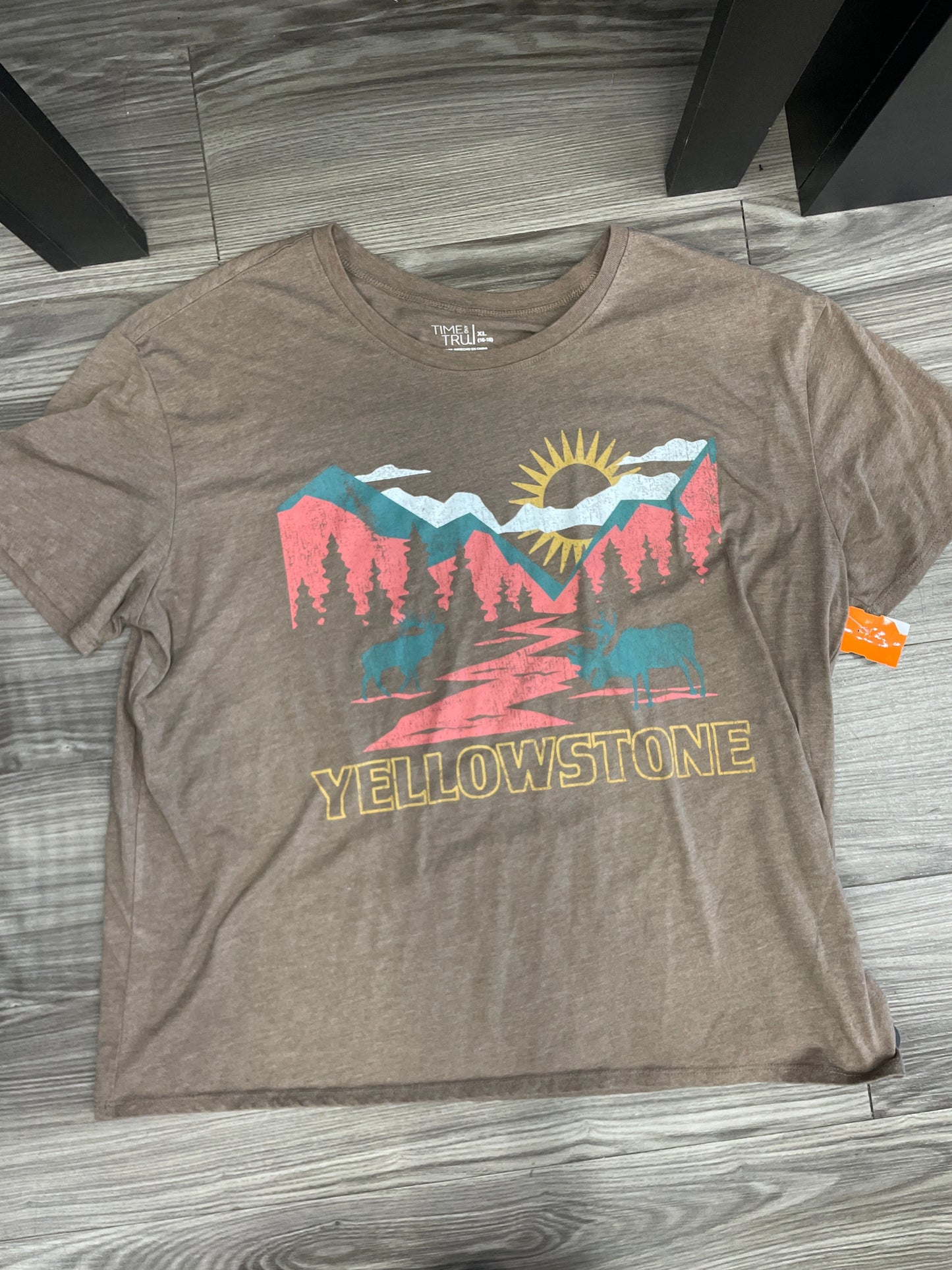 Top Short Sleeve By Time And Tru Size: Xl