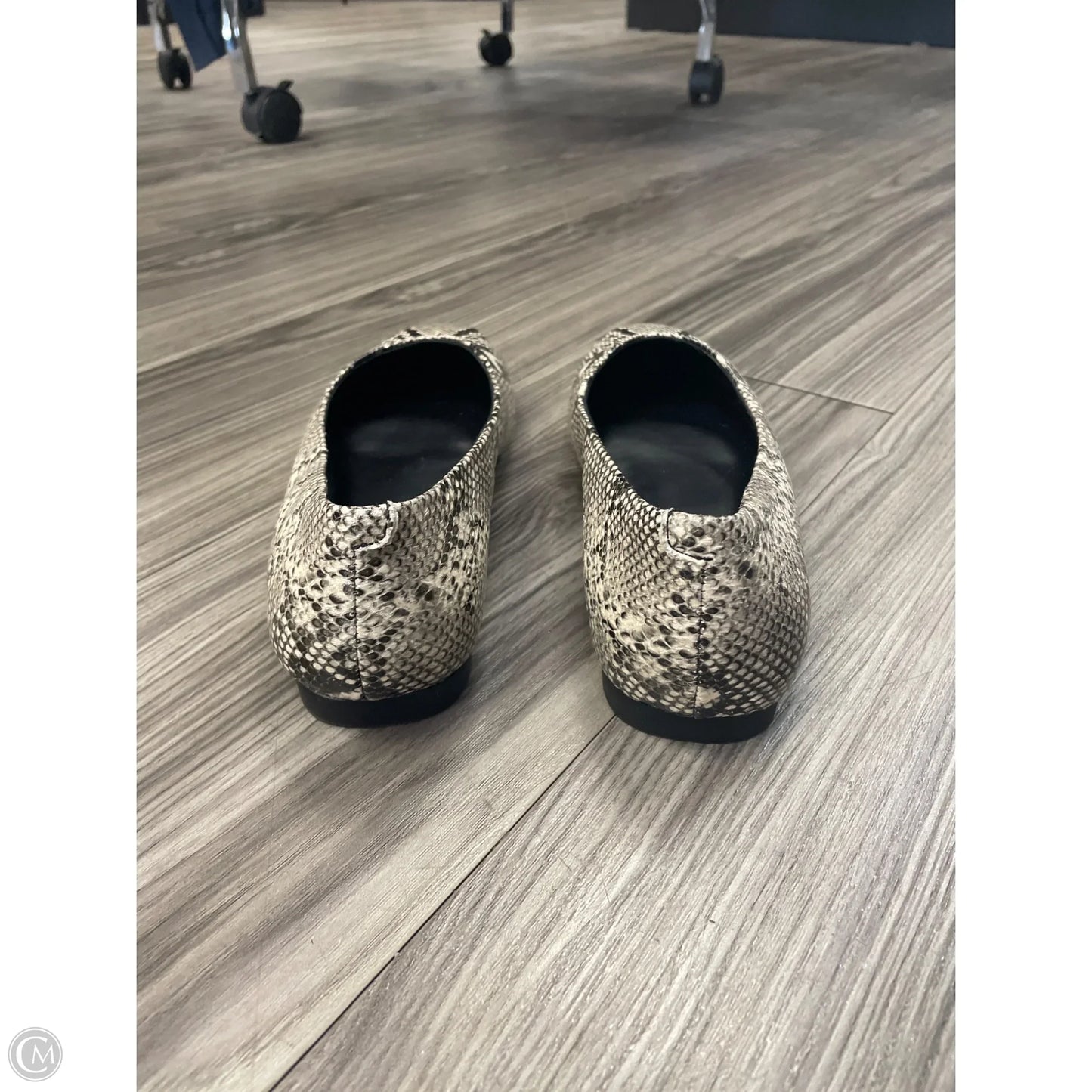 Shoes Flats By Steve Madden In Animal Print, Size: 8.5