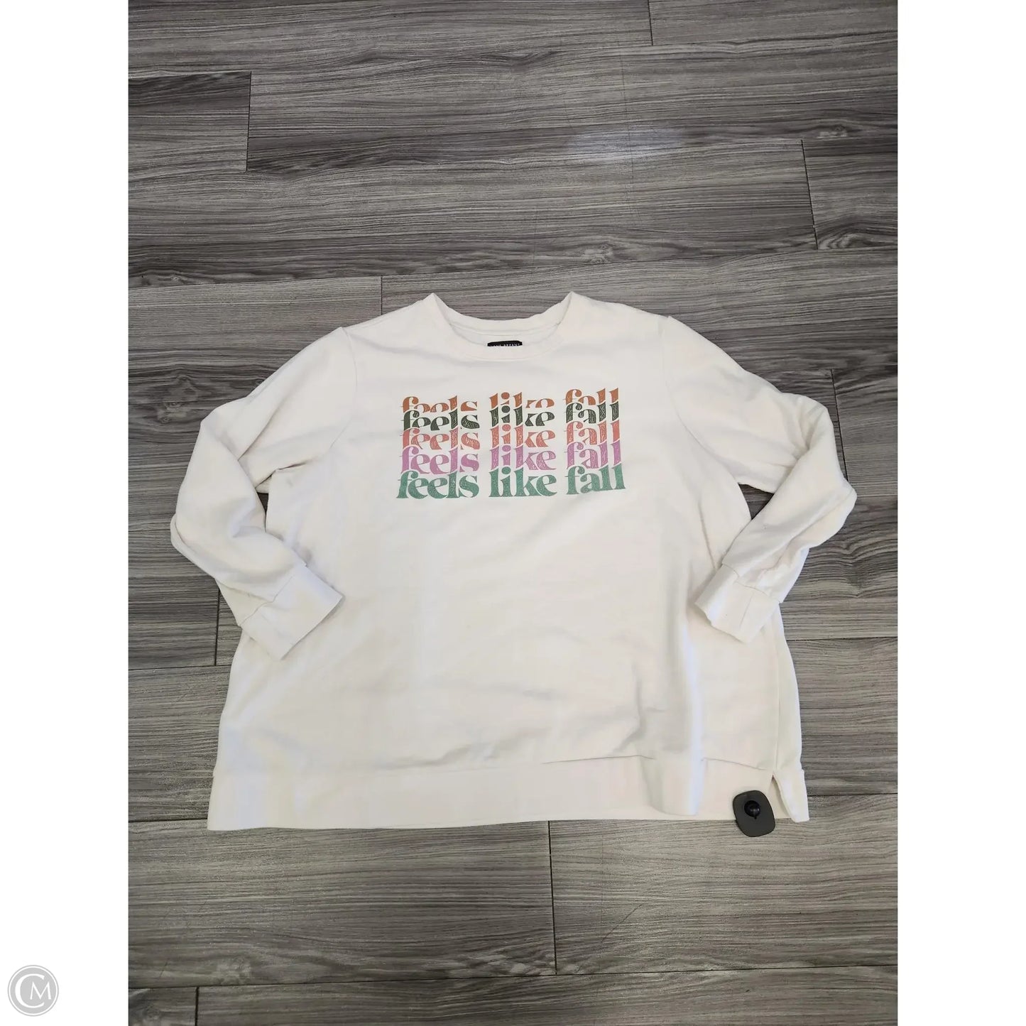 Sweatshirt Crewneck By Lane Bryant In Cream, Size: Xl