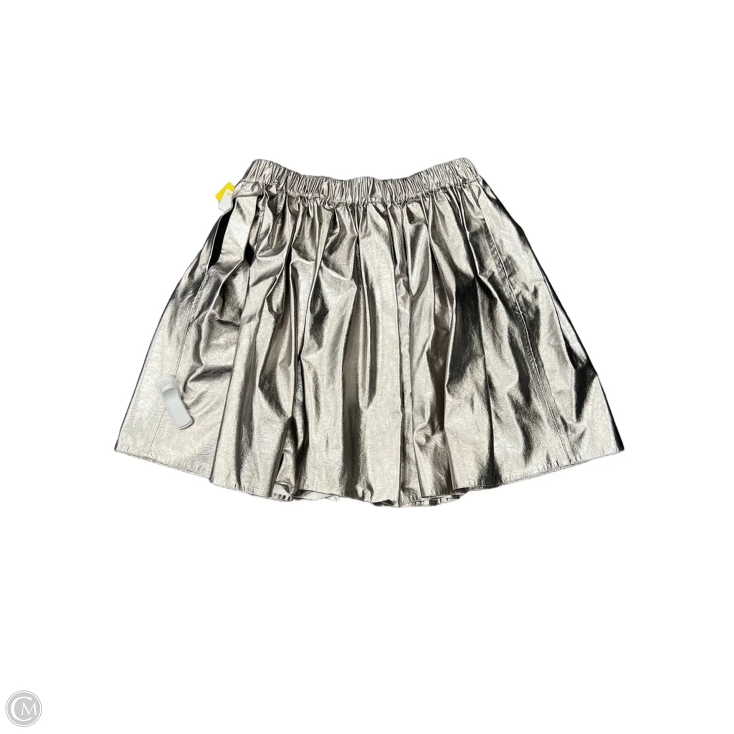 Skirt Midi By Cma In Silver, Size: M