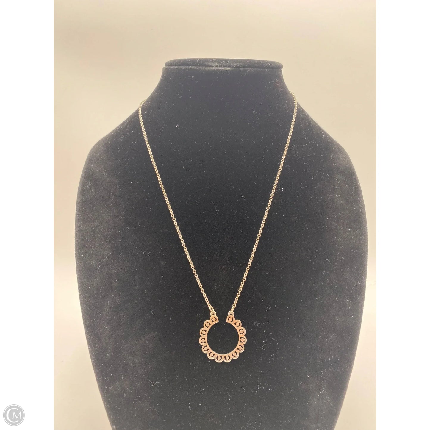 Necklace Pendant By Charming Charlie