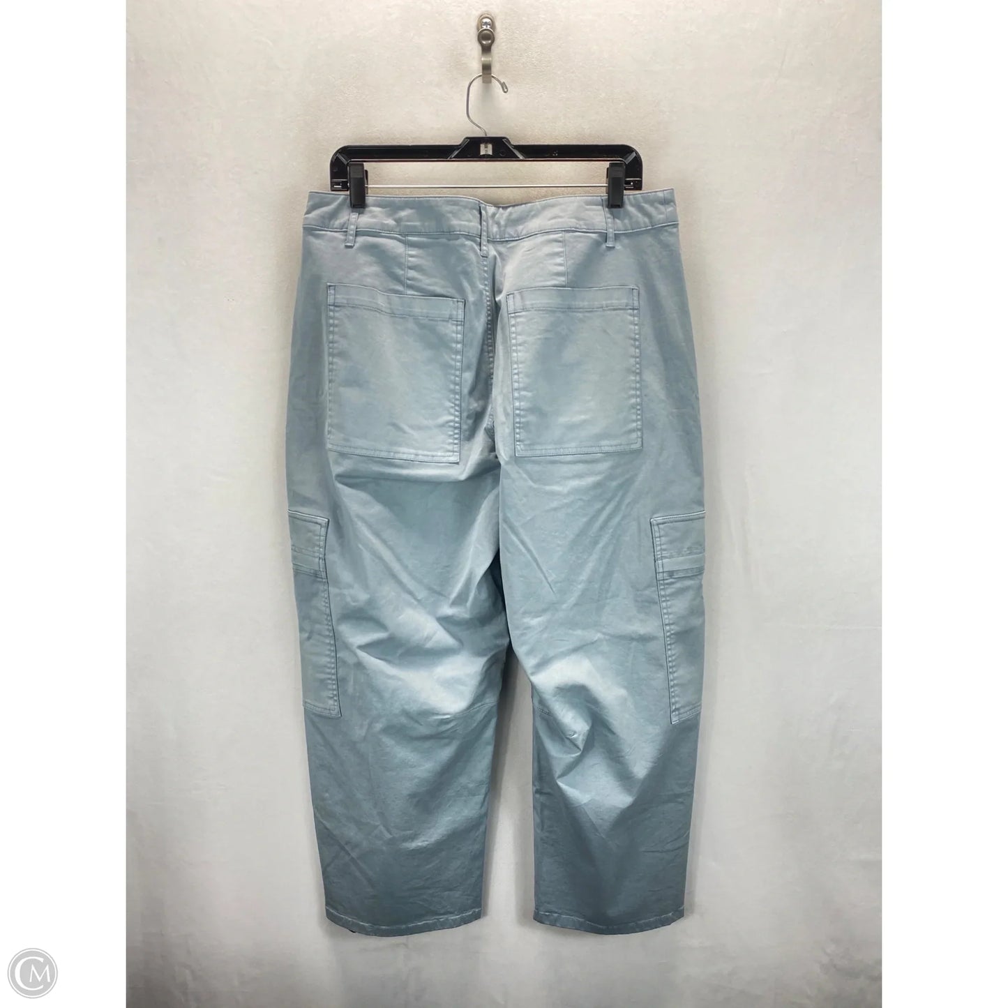 Pants Cargo & Utility By Universal Thread In Blue, Size: 12