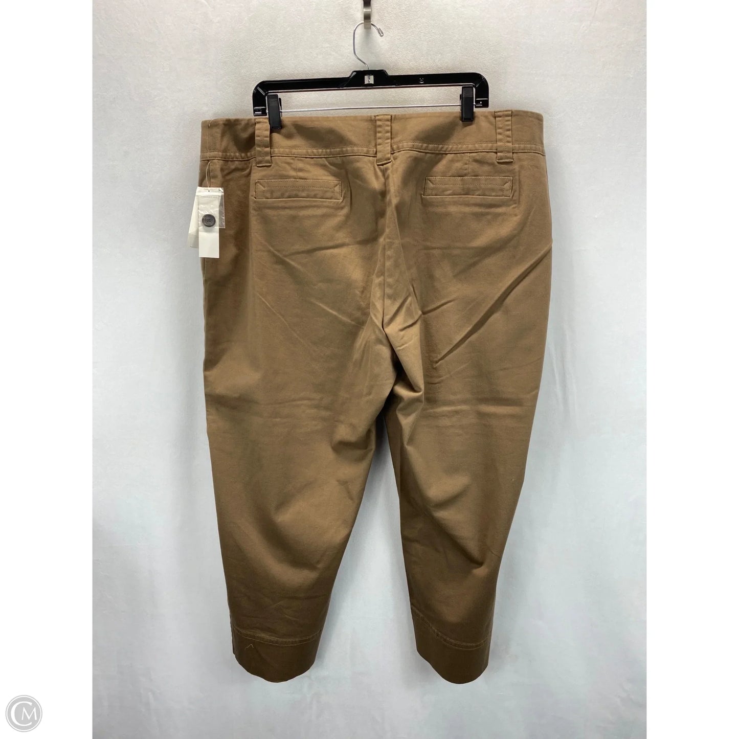 Pants Cropped By Charter Club In Brown, Size: 20