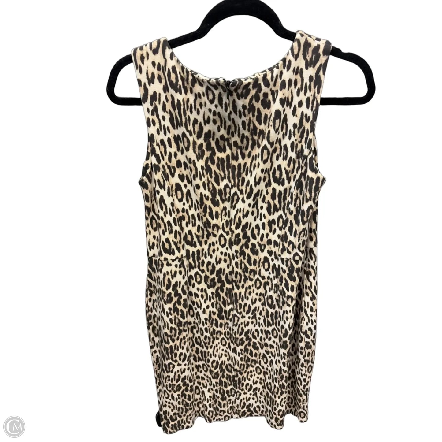 Dress Casual Short By Chicos In Animal Print, Size: M