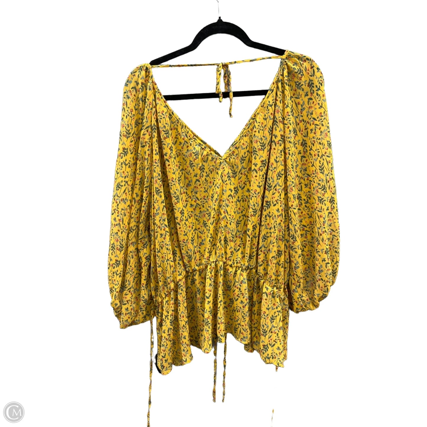 Top Long Sleeve By Ophelia Roe In Floral Print, Size: 2x