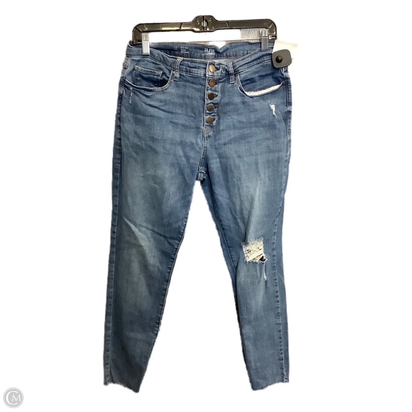 Jeans Skinny By Ana In Blue Denim, Size: 14