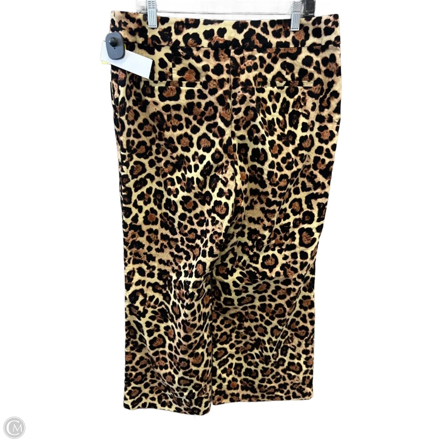 Pants Other By Loft In Animal Print, Size: 14p