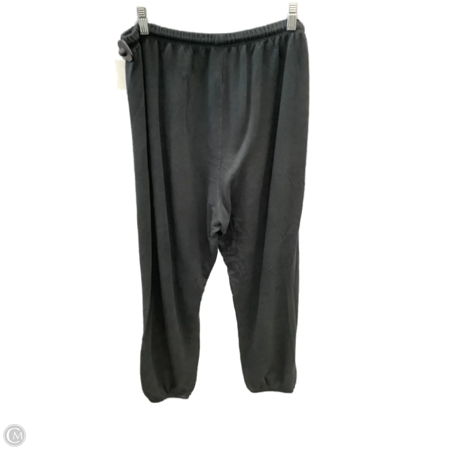 Athletic Pants By Aerie In Black, Size: L