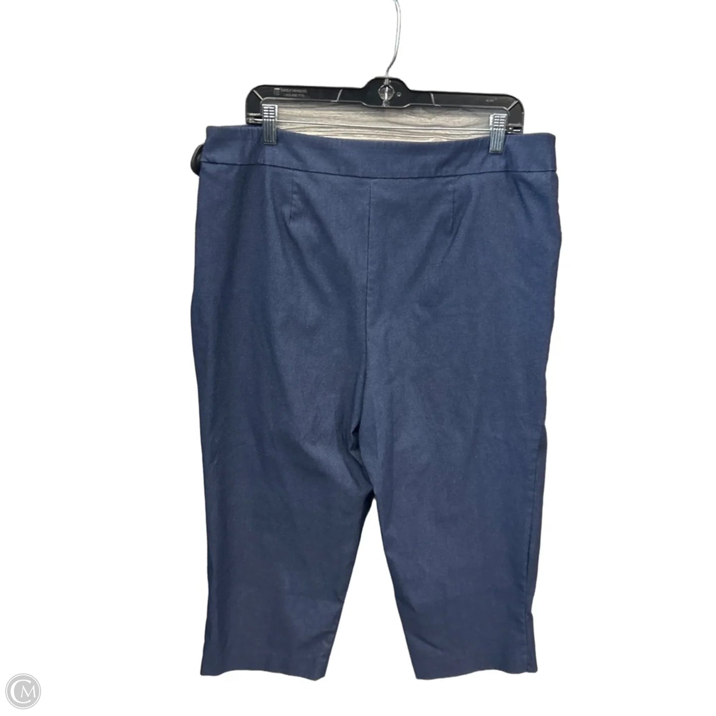 Capris By Time And Tru In Blue, Size: 16