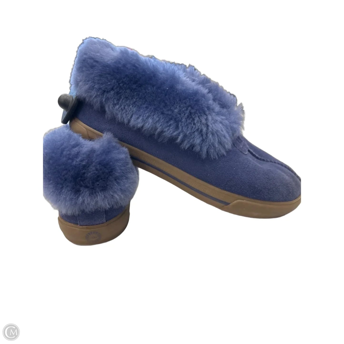 Shoes Designer By Ugg In Blue, Size: 6