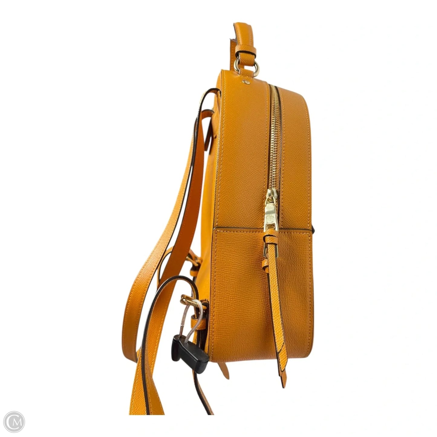 Backpack Designer By Coach, Size: Medium