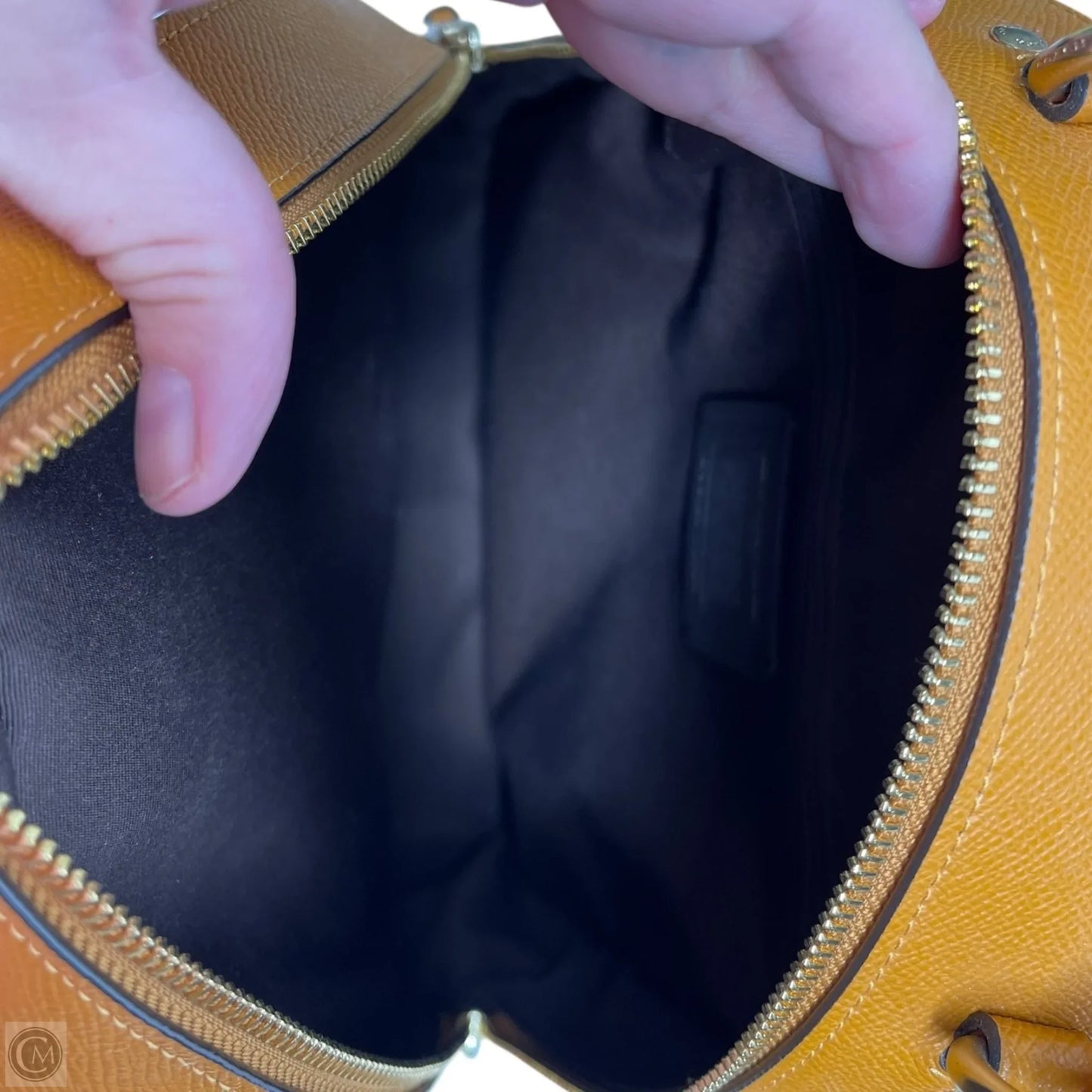 Backpack Designer By Coach, Size: Medium