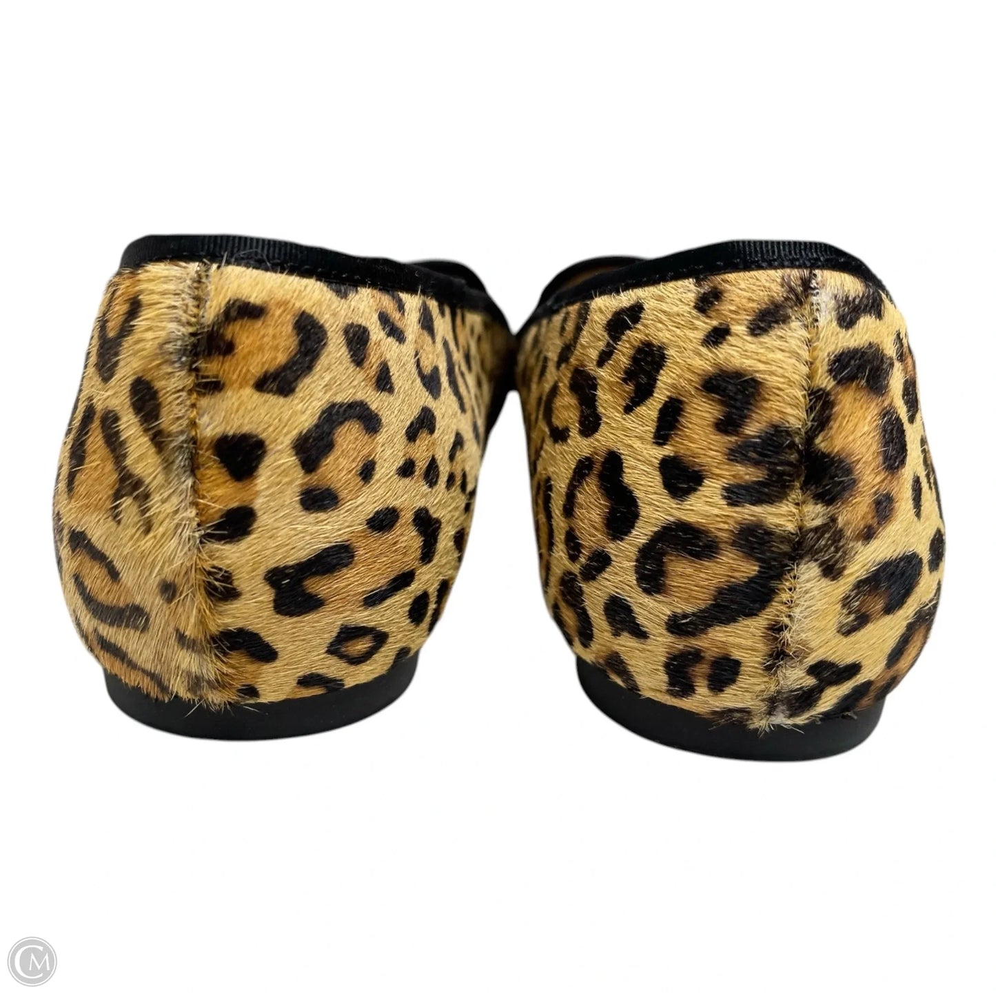 Shoes Flats By Hush Puppies In Leopard Print, Size: 6.5