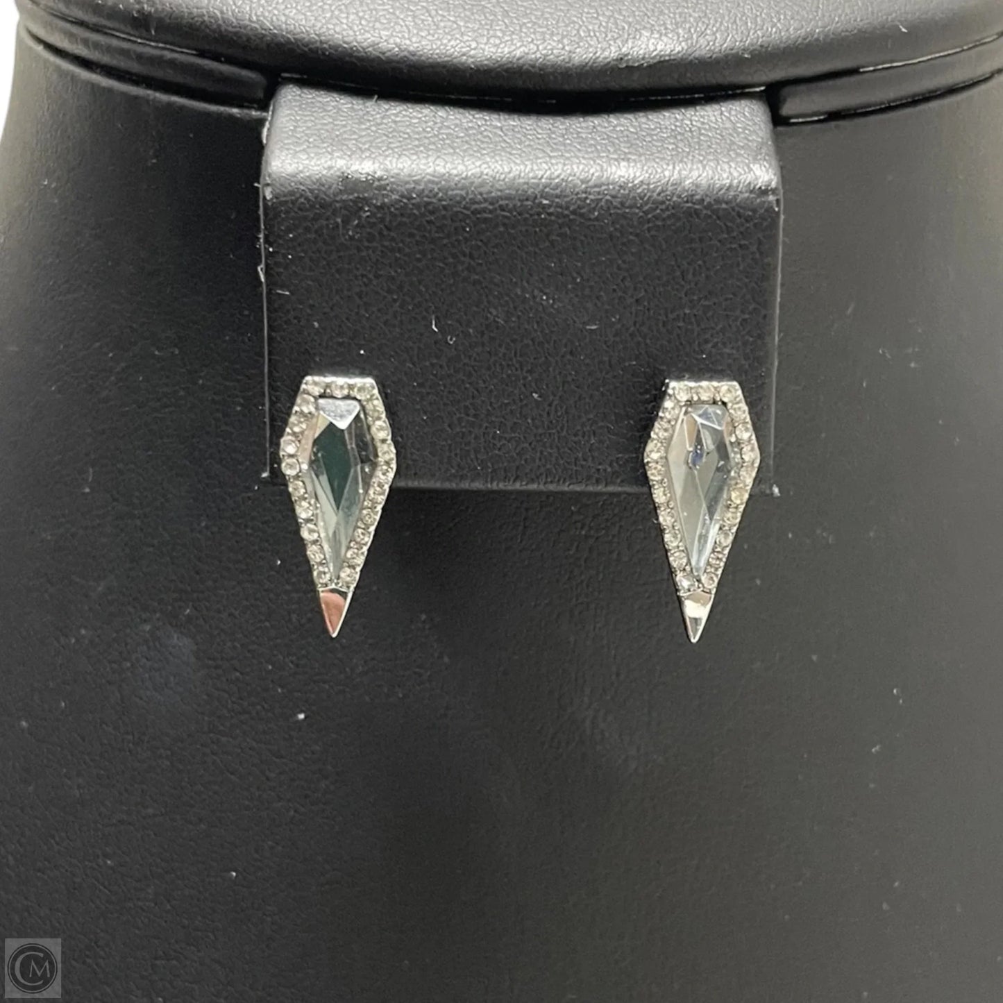 Earrings Designer By Rebecca Minkoff