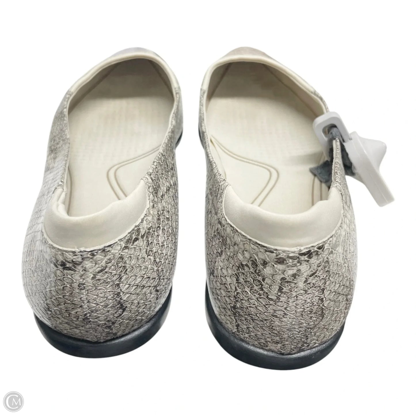 Shoes Flats By Cole-haan In Snakeskin Print, Size: 9