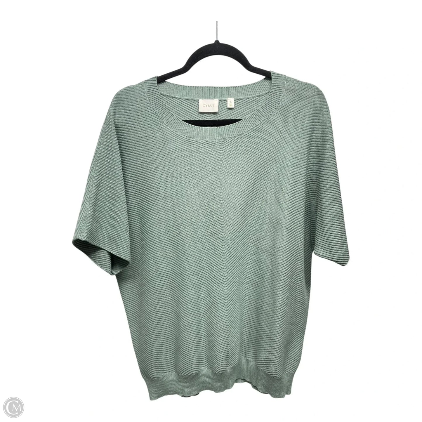 Sweater By Cyrus Knits In Green, Size: L
