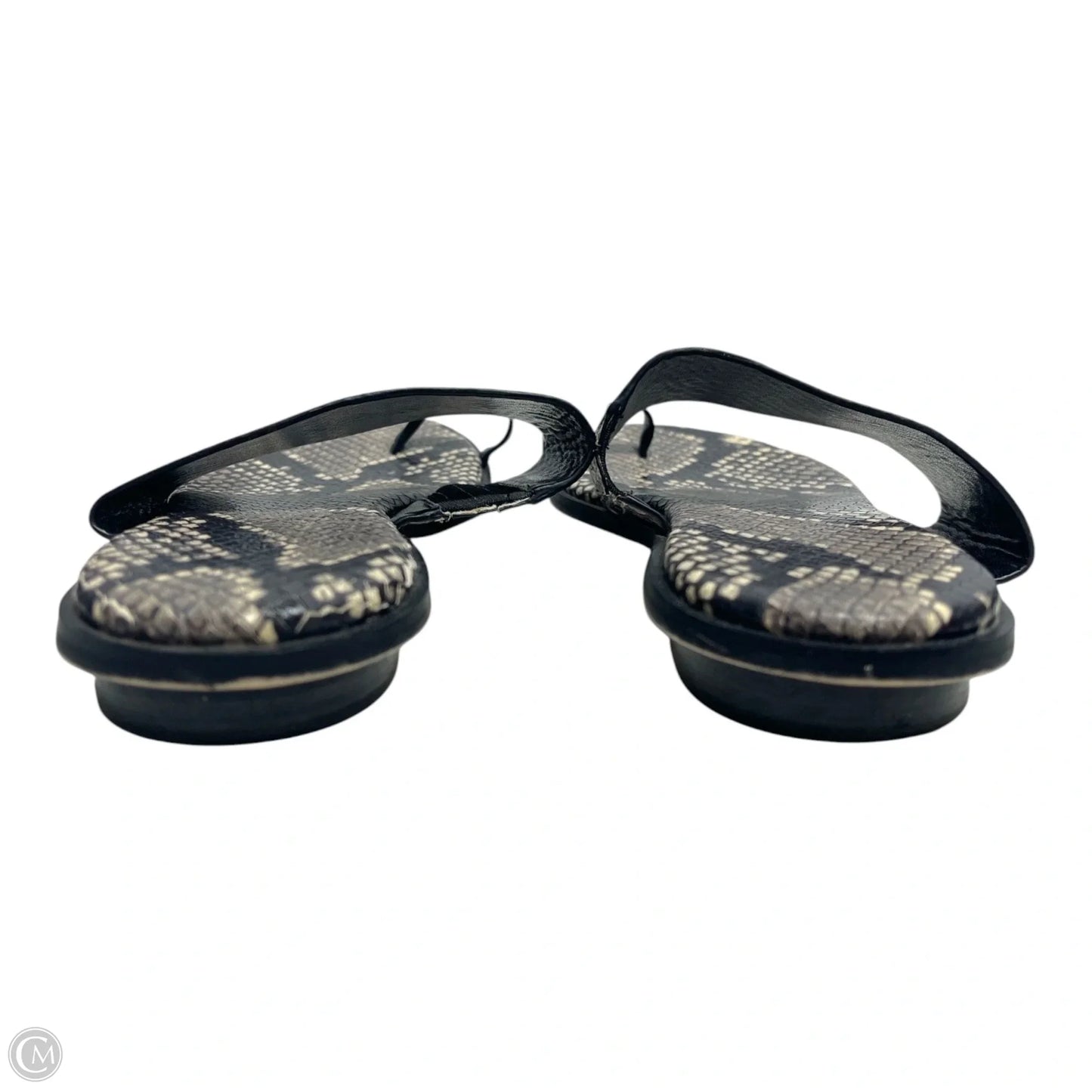 Sandals Flats By Michael By Michael Kors In Snakeskin Print, Size: 7
