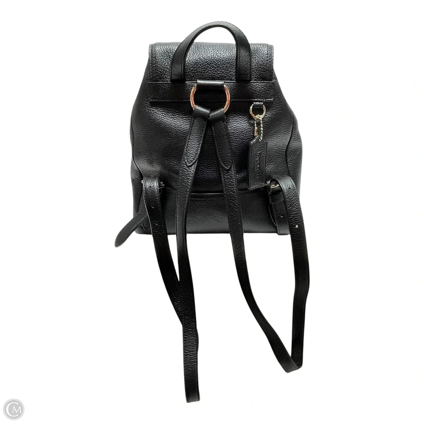 Backpack Designer By Coach, Size: Small
